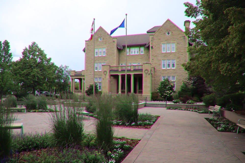 The garden