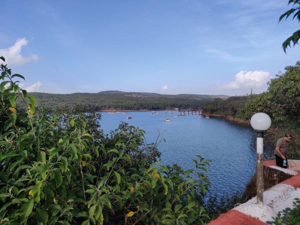 Pratap Singh Park