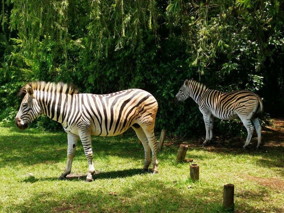 Queen Elizabeth Park Nature Reserve