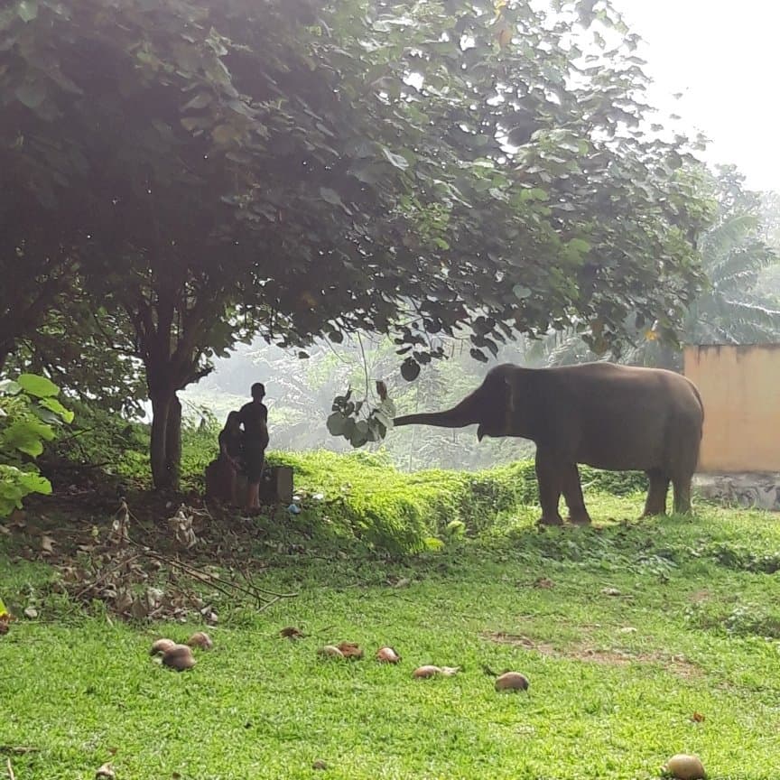 Medan Zoo