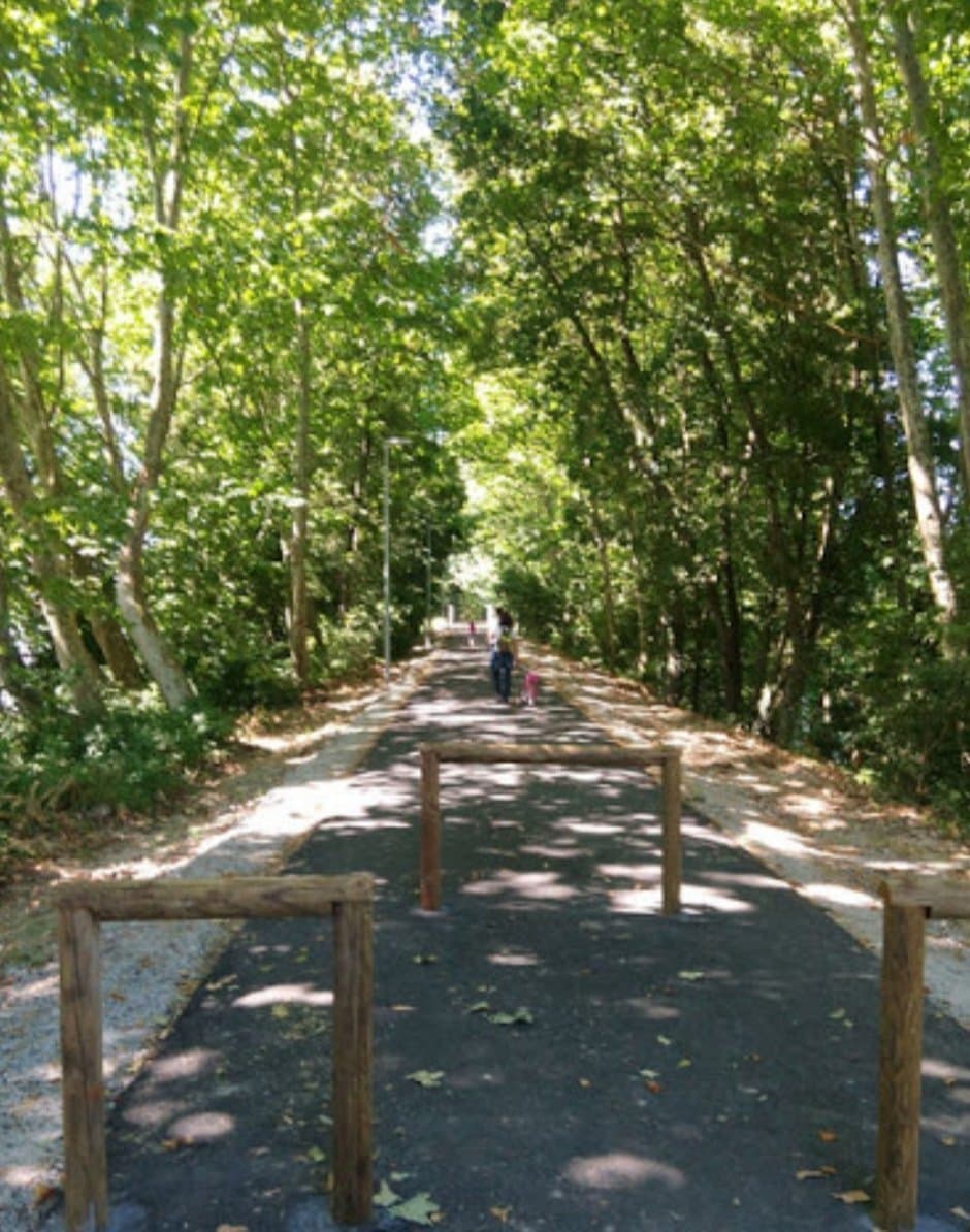Ecocaminho Maia