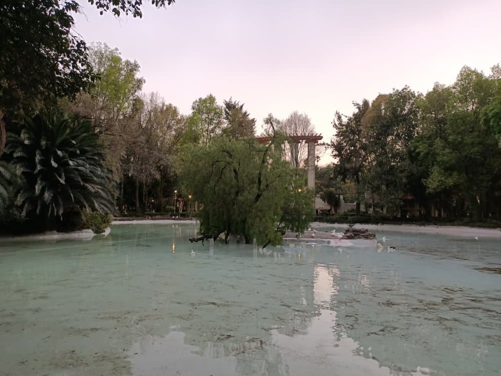 Parque México & Parque España Condesa Mexico City