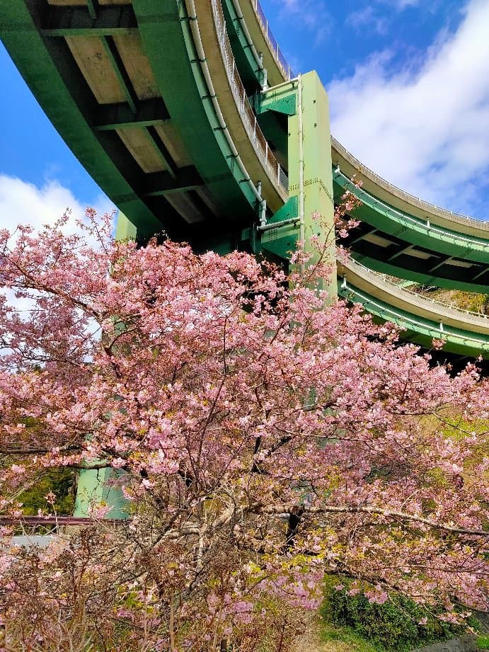 Kawazu Nanadaru Loop Bridge