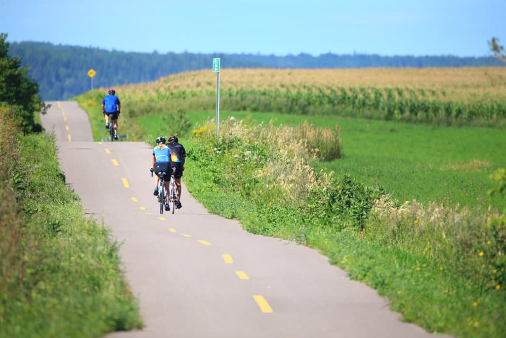 La Véloroute des Bleuets est un circuit pour tous, offrant des portions cyclables pour les familles / récréatif, les cyclotouristes ou même les cyclosportifs.