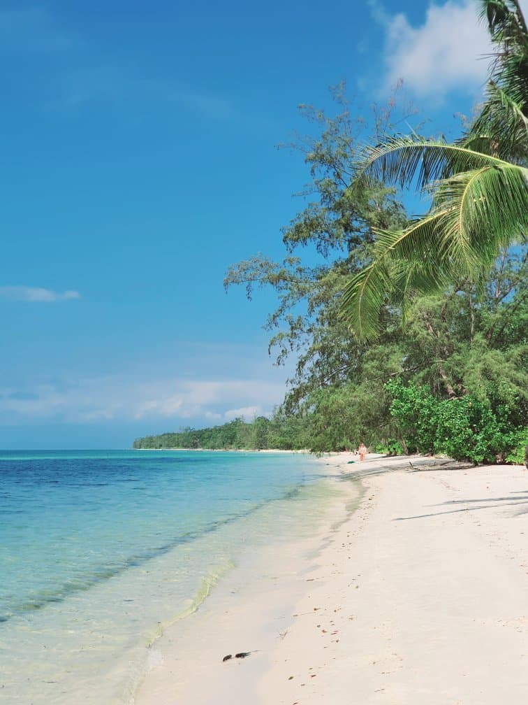 Starfish Beach