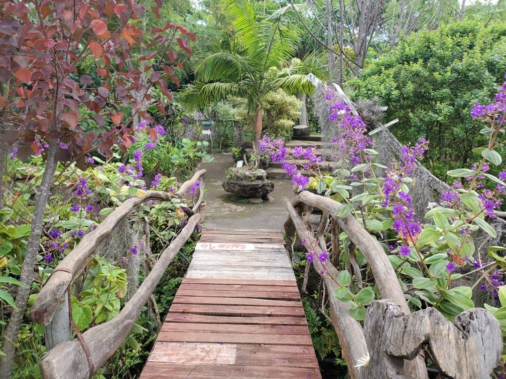 Tau Kiani Botanical Garden