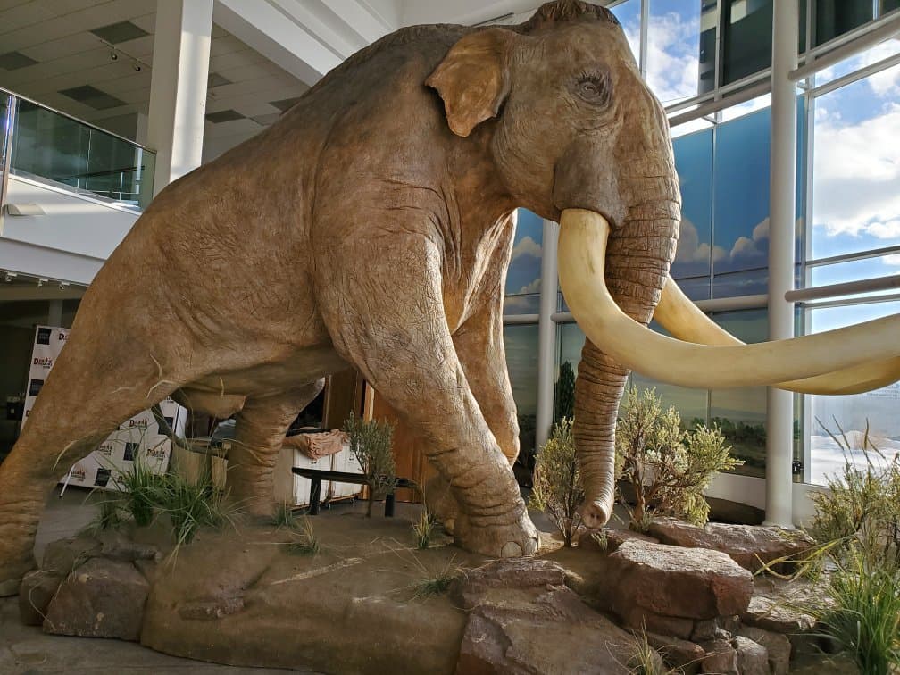 Museum of Idaho