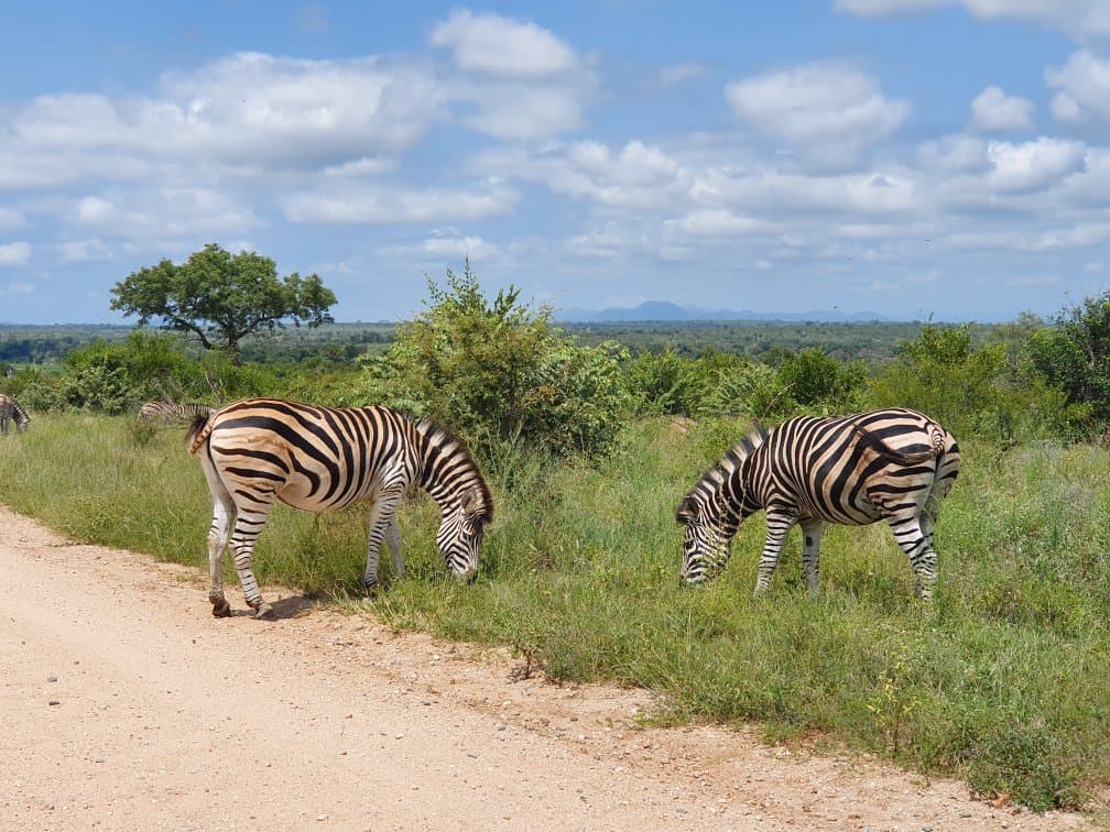 Crocodile Bridge Gate Kruger National Park