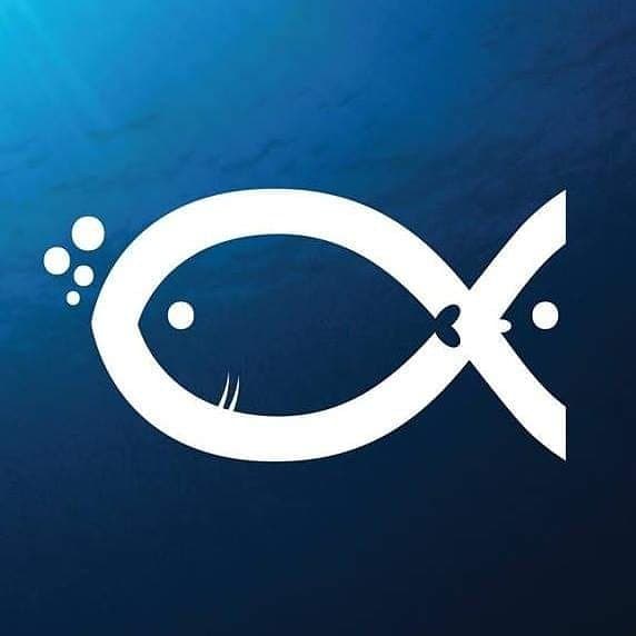 Red Sea Tribe Diving Center in Dahab, Egypt