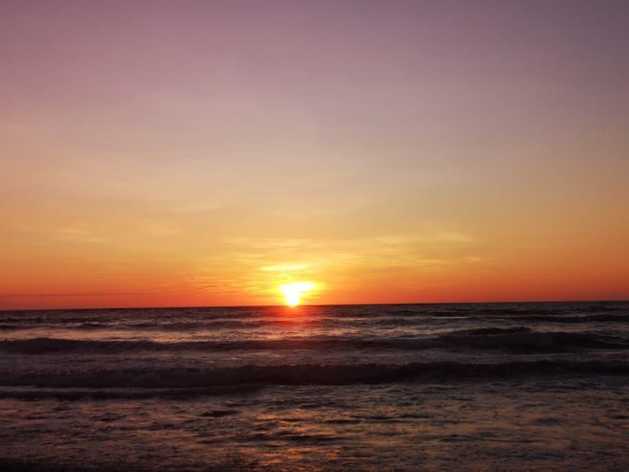 Playa Avellanas