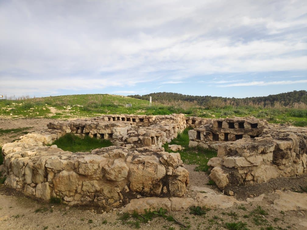 שילוט מכוון מצוין