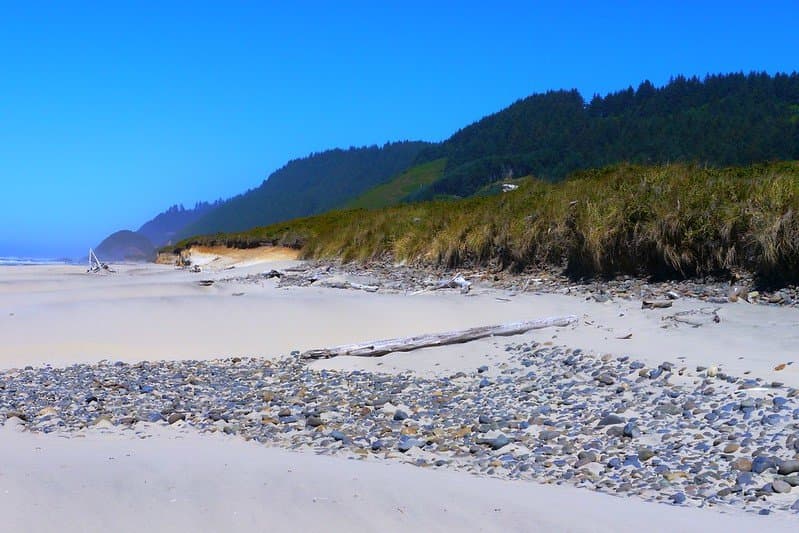 Shoreline and beach