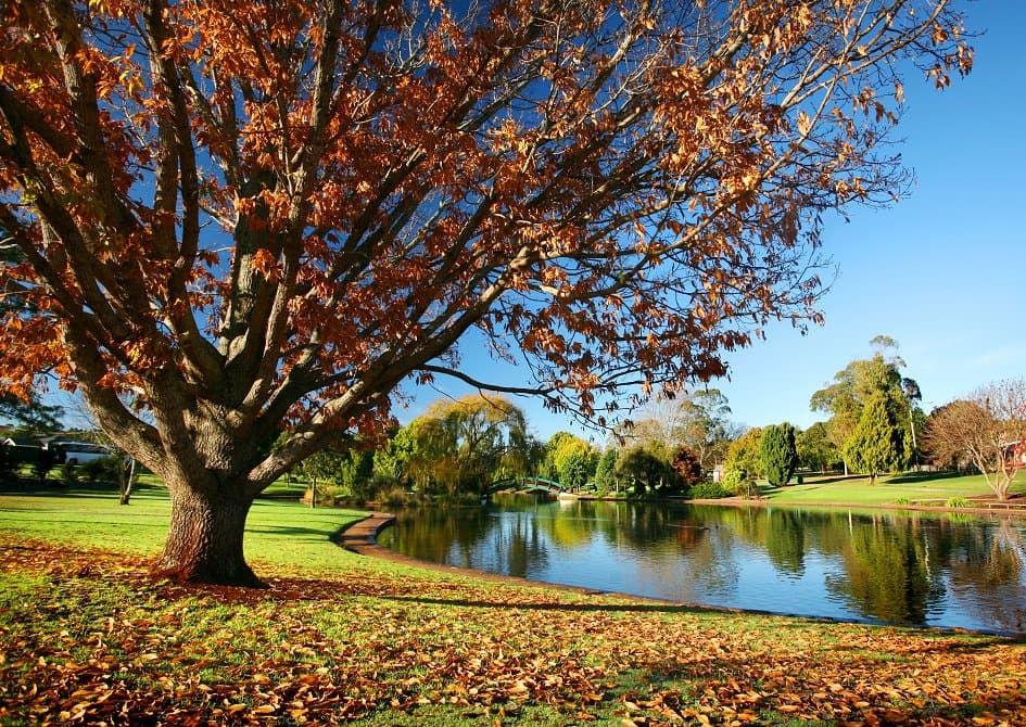Autumn colour at Lake Annand Park