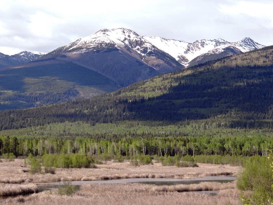 R.W. Starratt Wildlife Sanctuary