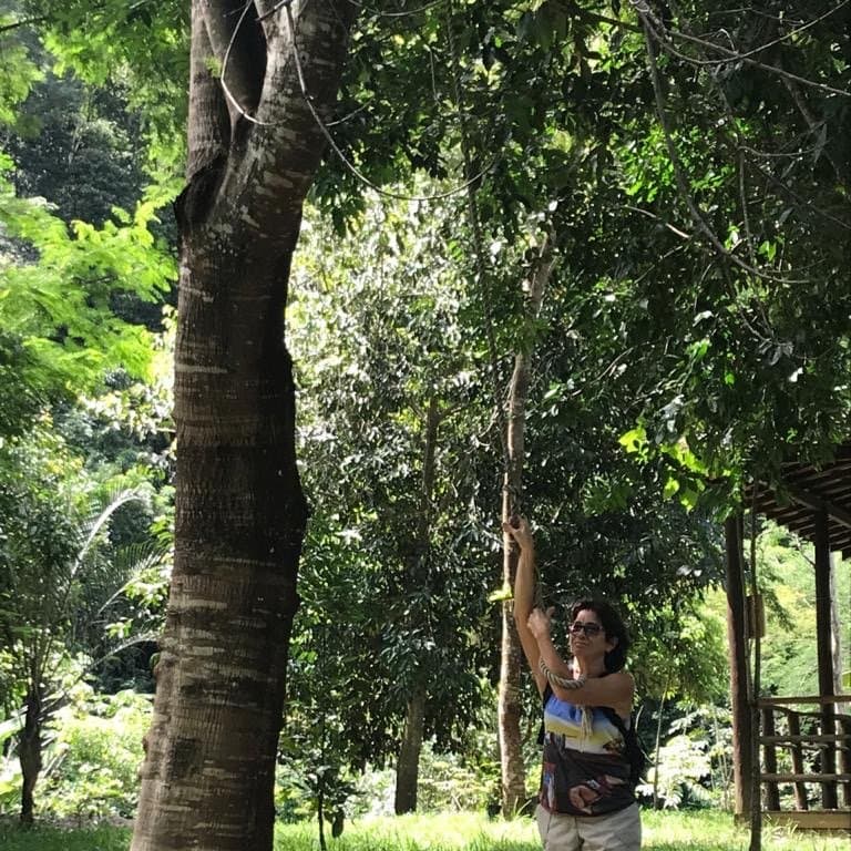 Parque Natural Municipal do Atalaia