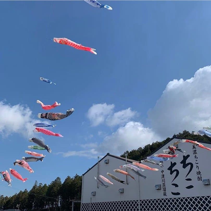 今年も鯉のぼりを飾る季節になりました。
鯉のぼりは、
日本の風習で、江戸時代に武家で始まった端午の節句に男児の健やかな成長を願って家庭の庭先に飾る「鯉」の形に模して作った「のぼり」で、「登竜門」の伝説にちなんで、「どんな環境にも耐え、立派に成長するように」と立身出世を願って鯉のぼりを飾るようになったそうです。
鯉のぼりの色は今では
黒がお父さん、赤がお母さん、青が子供というのが一般的ですが、
黒・・・大黒柱である父親
赤・・・生命を担う母親
青・・・成長していく子供を表しているそうです。