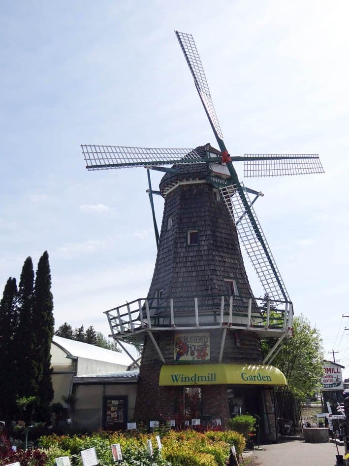 Windmill Garden Centre 