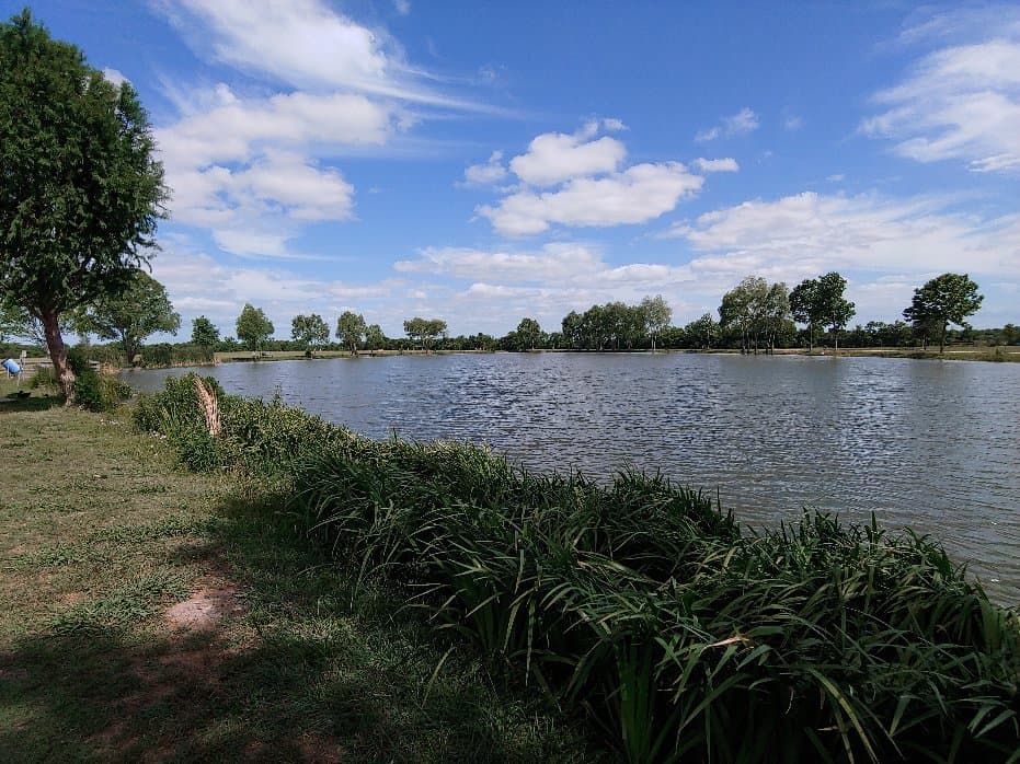 Seabourne Creek Nature Park