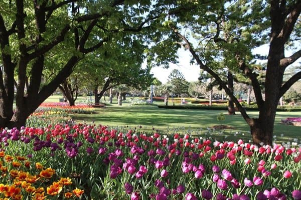 Plantings at Laurel Bank