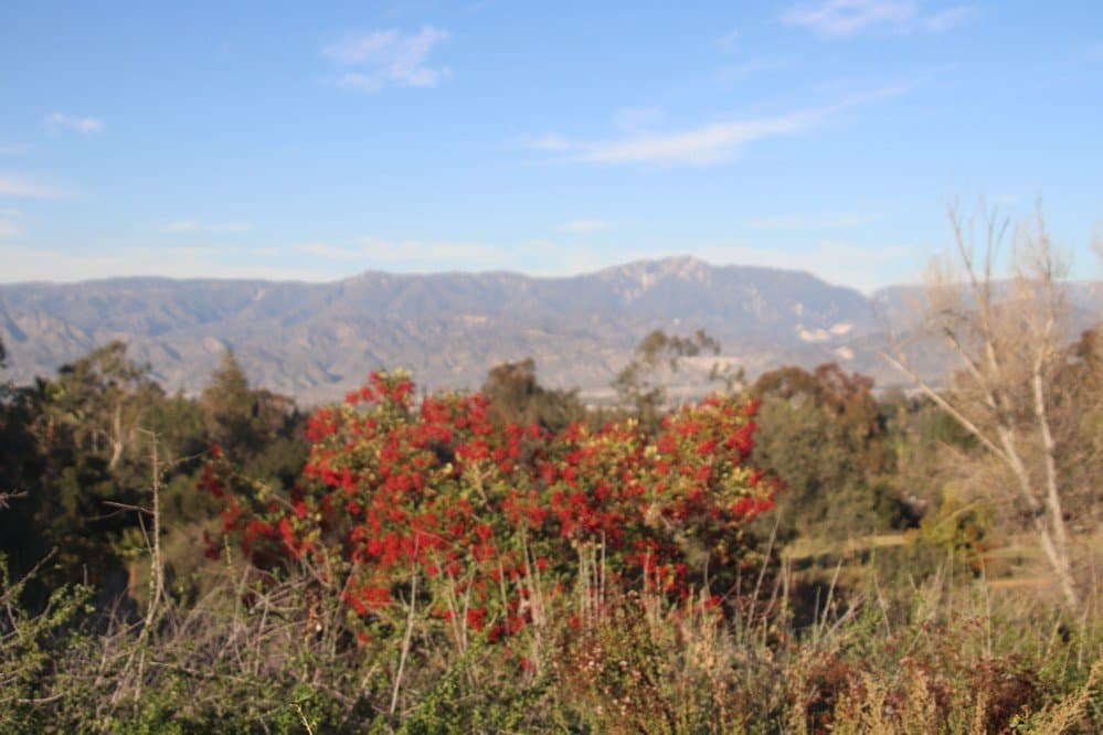 This is the best part of it all: The view on the mountains