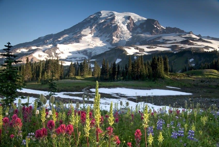 Paradise Jackson Visitor Center Mount Rainier National Park