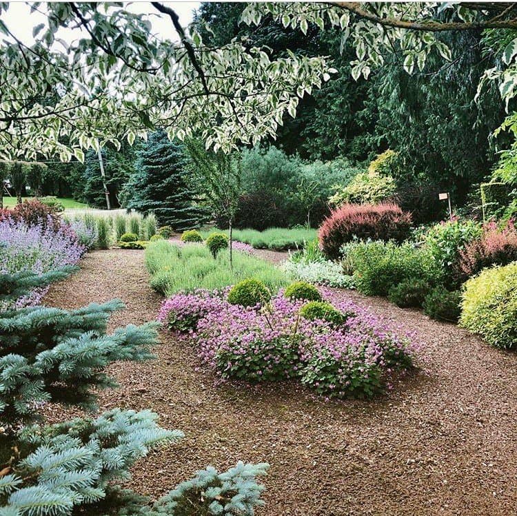 It was a beautiful morning at Tanglebank Gardens & Brambles Bistro in Abbotsford, BC yesterday.  Have you been?   Find out more: https://www.gardensbc.com/tanglebank-gardens/  #gardensbc #explorebcgardenslater  #sundayvibes #gardentourism #bcgardens #exploreabbotsford #tanglebankgardens  