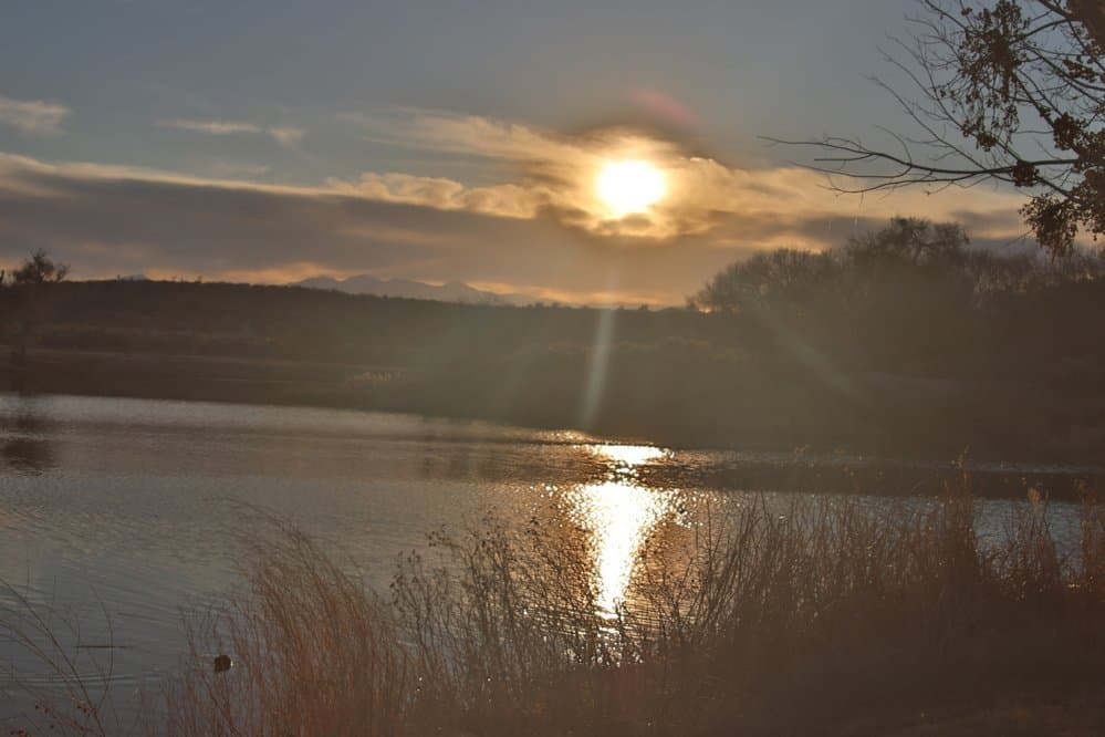 Mojave Narrows Regional Park