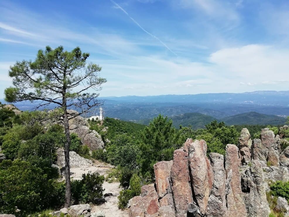 Mont Vinaigre