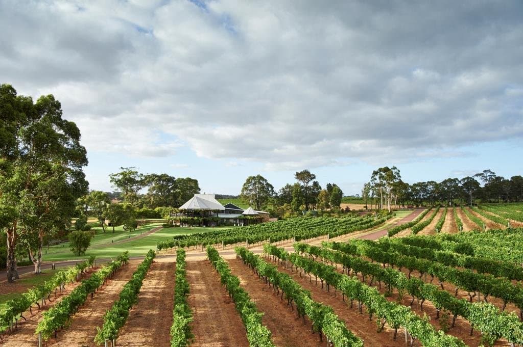 The Vasse Felix Estate
