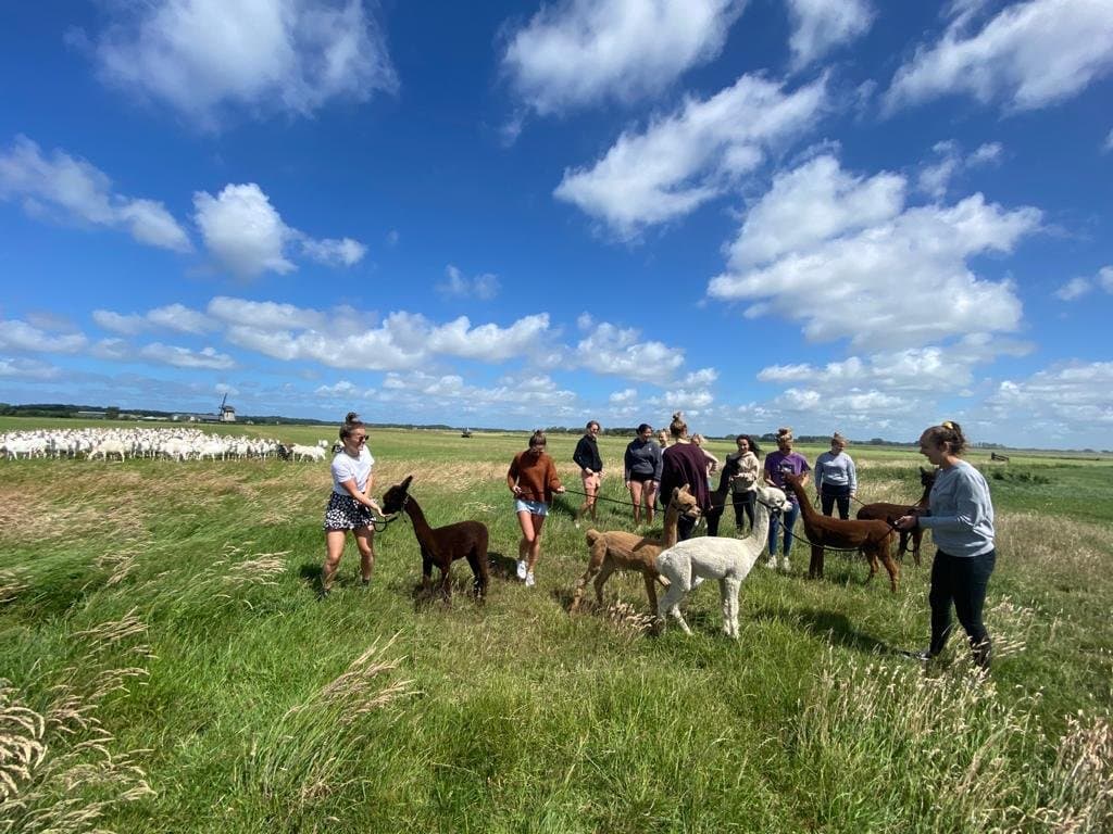 Visit the Alpaca Eco Farm