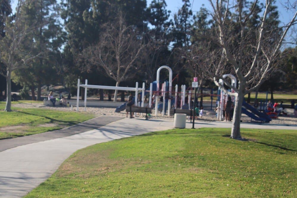 The playground