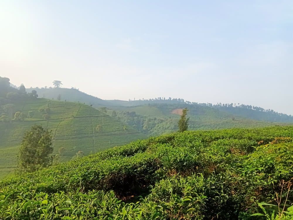 Bukit Senyum Viewpoint