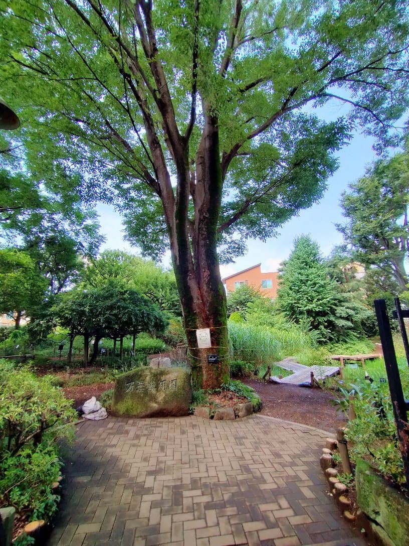 Akatsuka Botanical Garden