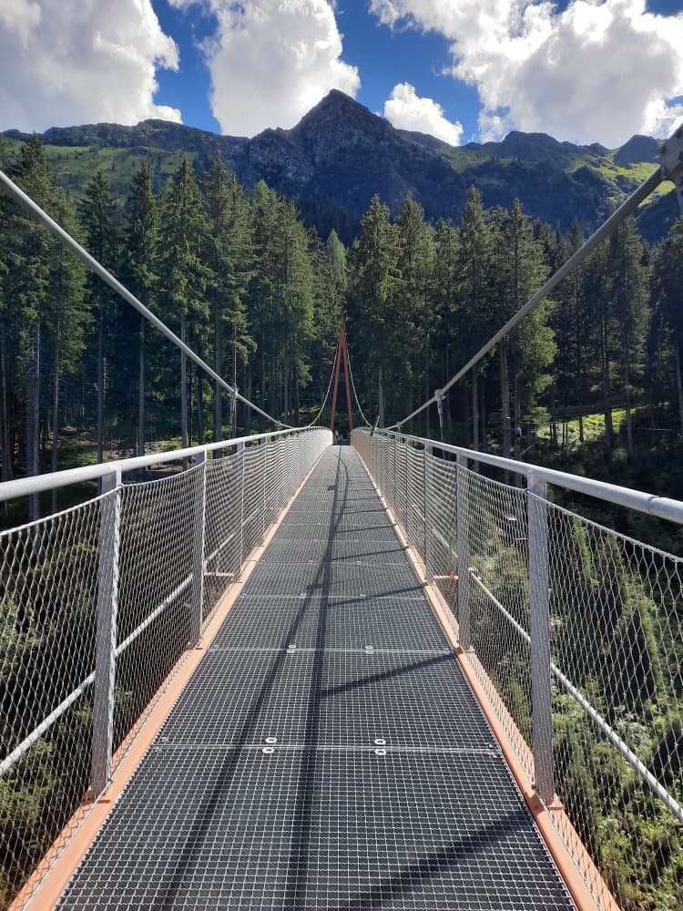 Baumzipfelweg & Golden Gate Bridge