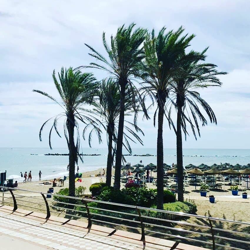 Best views 😎🌴😁