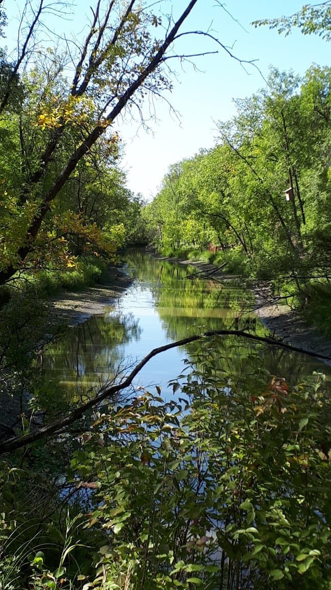Bois-des-Esprits