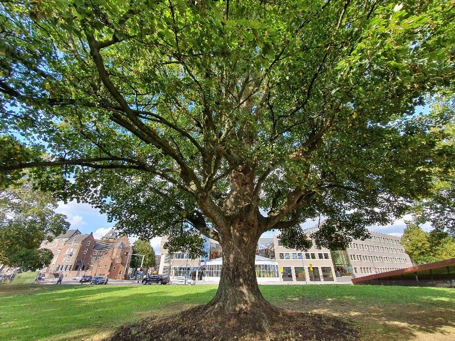 Bastionder (Bastion St. Jan)