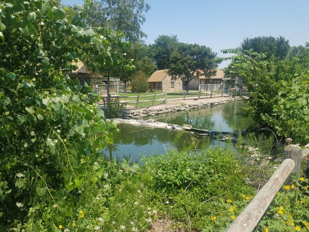 Wright Park Zoo