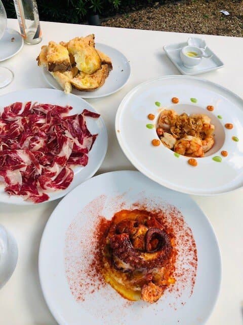 Clockwise from the left: Jamon Iberico, tomato bread, garlic shrimp and octopus