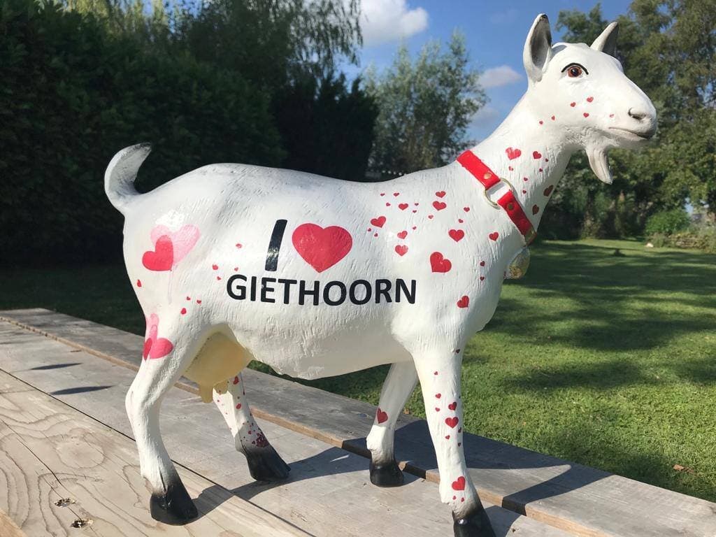In de workshop Pimp your goat kun je Gieterse geiten pimpen maar ook andere dieren! Laat ons weten wat jouw wensen zijn.
