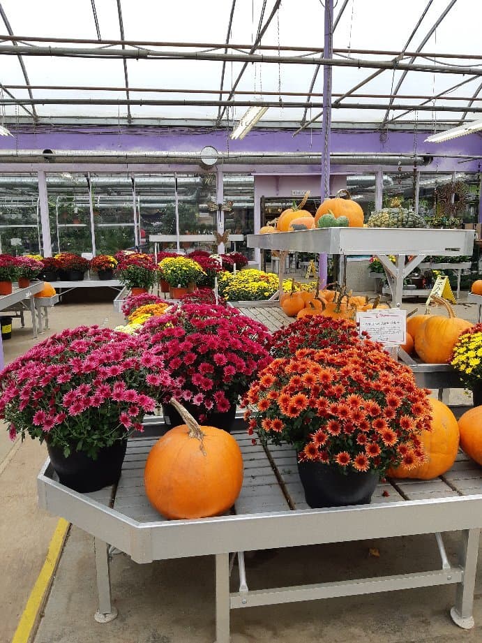 Minter Country Garden