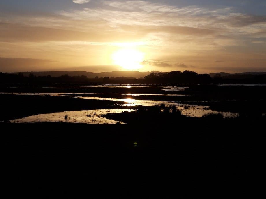 RSPB Pulborough Brooks