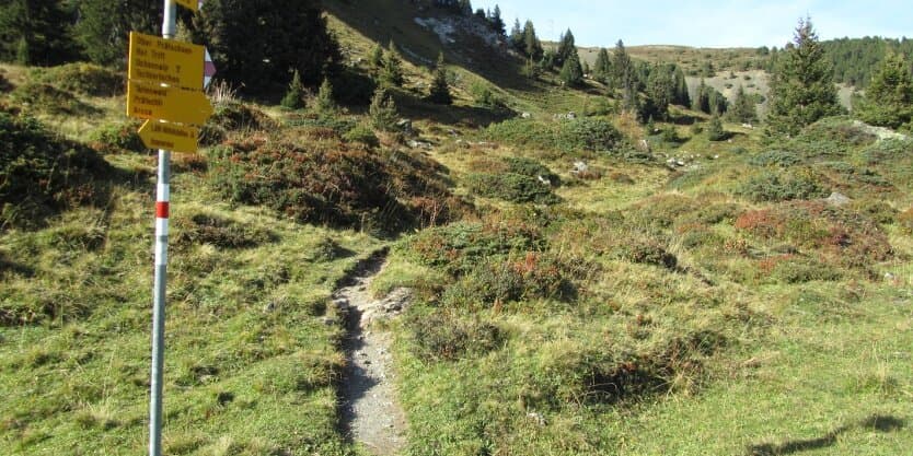 Arosa Tourism Wanderung