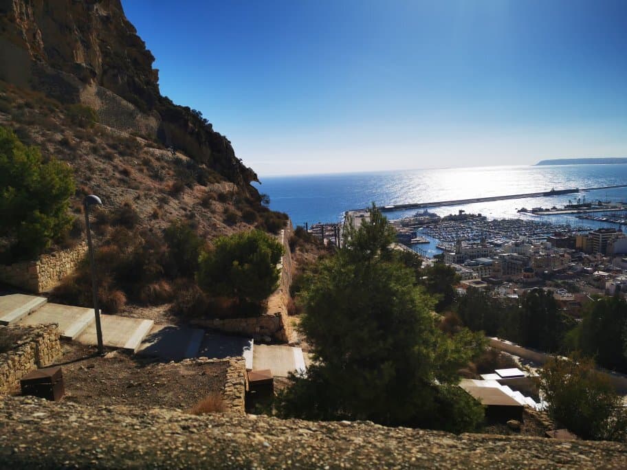 Parque de la Ereta Alicante