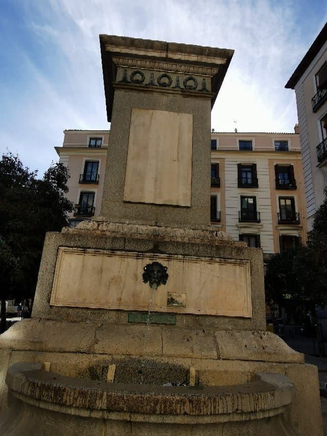 Experience the 'Bosque de los Deseos' (Forest of Wishes)