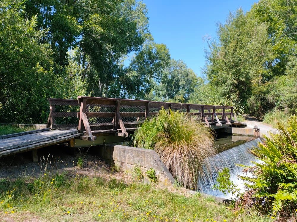 The Groynes Christchurch