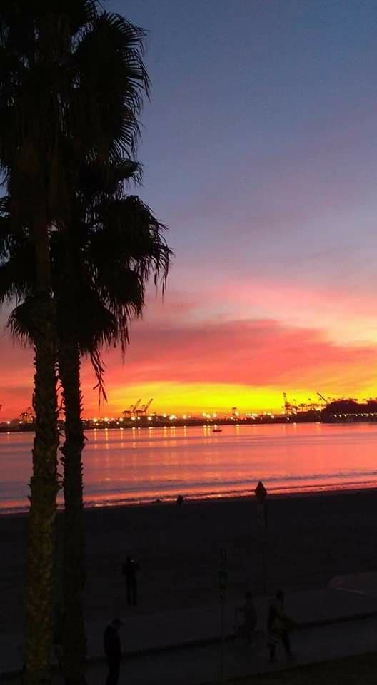 Alamitos Bay Marina