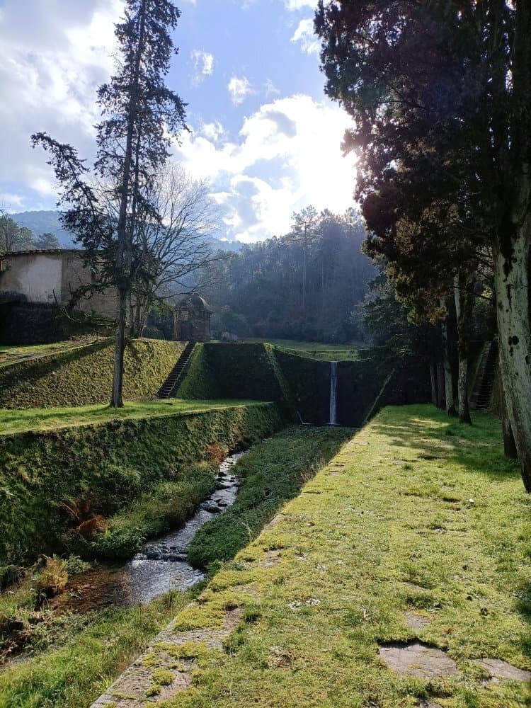 Parole d'Oro Nottolini
