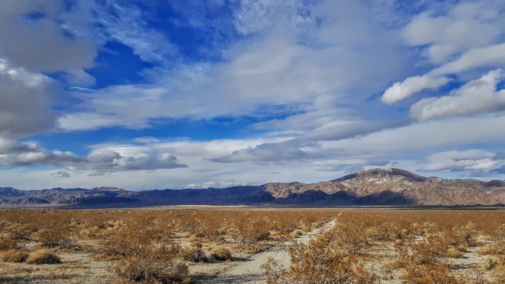 Cottonwood Visitor Center