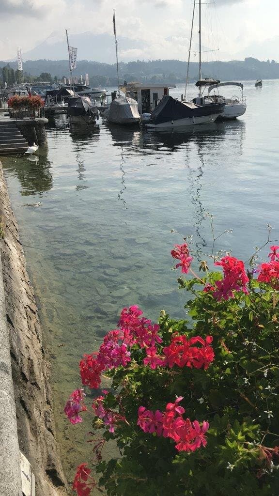 Promenade Luzern - promenáda